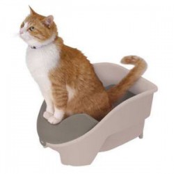 Cat Toilet Training
